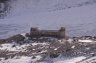 DSC_9576.jpg - 